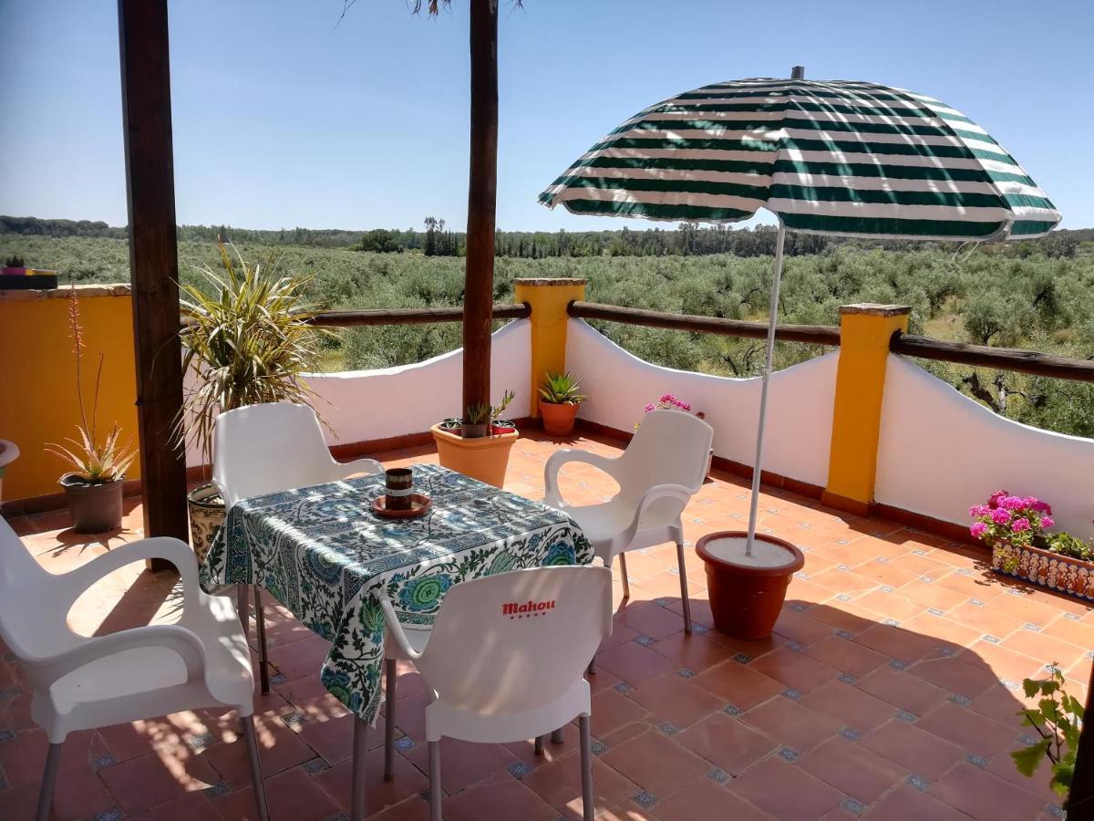 Finca Casa Halcon ألمونتي المظهر الخارجي الصورة