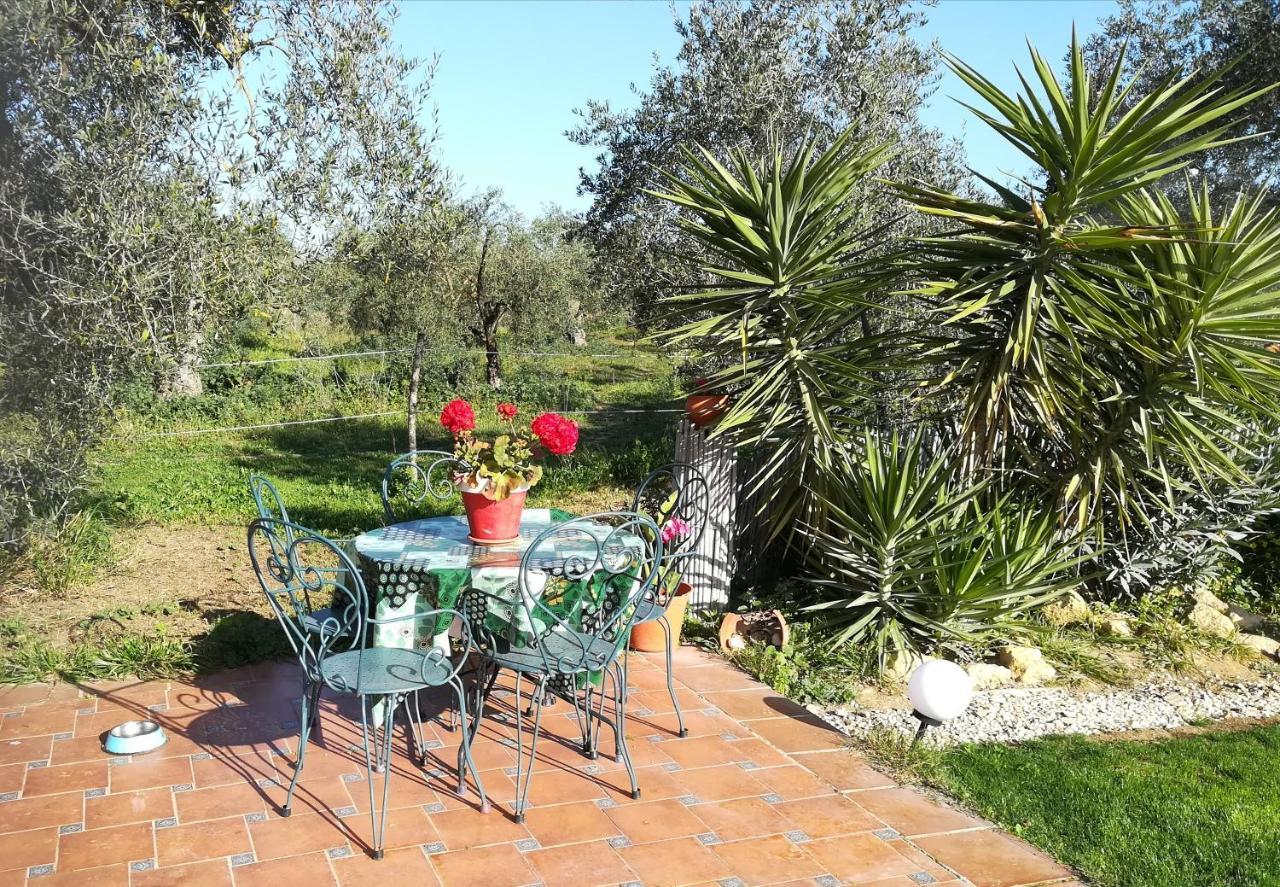 Finca Casa Halcon ألمونتي المظهر الخارجي الصورة