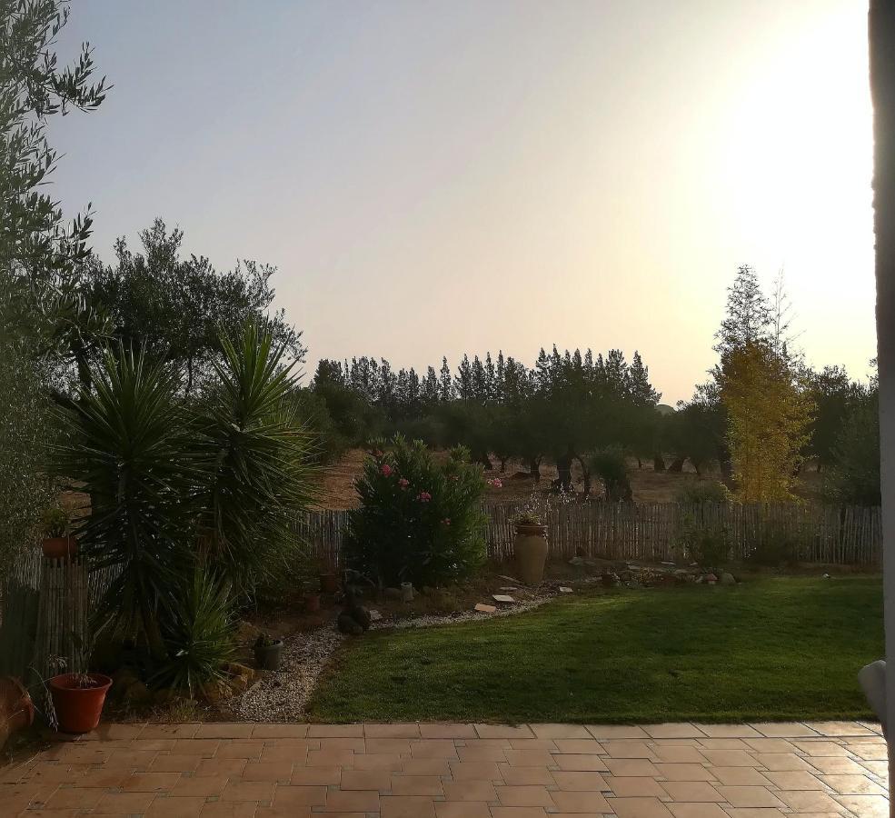 Finca Casa Halcon ألمونتي المظهر الخارجي الصورة