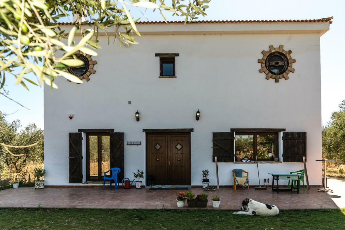 Finca Casa Halcon ألمونتي المظهر الخارجي الصورة